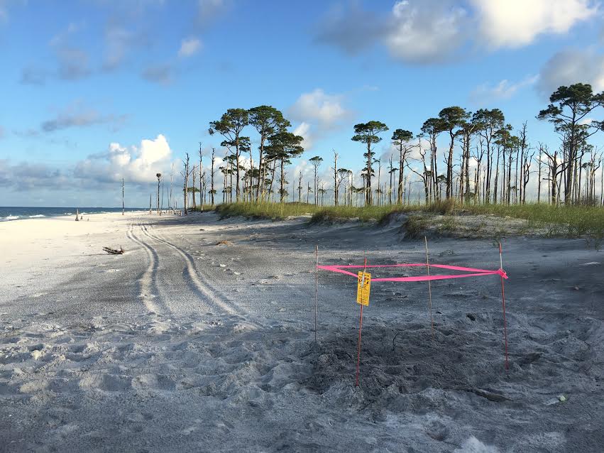 tyndall air force base beach